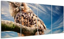 Mivali Tablou cu bufnița, din patru bucăți 160x80 cm (V020575V16080)