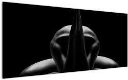 Mivali Tablou cu nud feminin, dintr-o bucată 120x50 cm (V020804V12050)