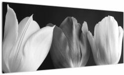 Mivali Tablou - Lalele alb negre, dintr-o bucată 100x40 cm (V021916V10040)