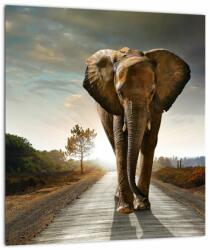 Mivali Tablou pe sticlă cu elefant, dintr-o bucată 30x30 cm pe sticlă (V022219V3030GD)