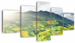 Mivali Tablou plantație, din cinci bucăți 150x80 cm (V020635V150805PCS)