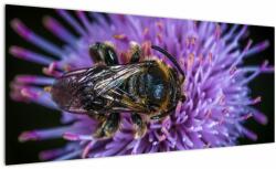 Mivali Tablou cu albina pe floare, dintr-o bucată 100x40 cm (V020419V10040)