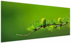Mivali Tablou con verde, dintr-o bucată 250x125 cm (V020627V250125)
