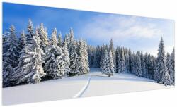 Mivali Tablou - Iarna in pădure, dintr-o bucată 250x125 cm (V023916V250125)