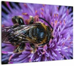 Mivali Tablou cu albina pe floare, dintr-o bucată 70x50 cm (V020419V7050)