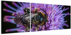 Mivali Tablou cu albina pe floare, din trei bucăți 120x40 cm (V020419V12040)