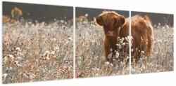 Mivali Tablou - Vacă scoțiană, din trei bucăți 120x40 cm (V024013V12040)