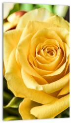Mivali Tablou cu trandafir, dintr-o bucată 20x30 cm (V020280V2030)