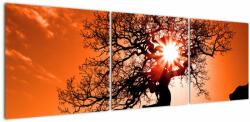 Mivali Tablou - Fag la apus de soare, din trei bucăți 150x50 cm (V022512V15050)
