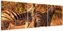 Mivali Tablou cu zebre, din trei bucăți 150x50 cm (V021188V15050)