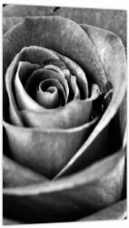 Mivali Tablou - Trandafir, alb-negru, dintr-o bucată 20x30 cm (V024114V2030)