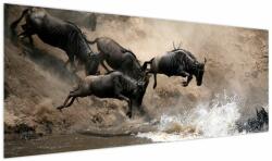 Mivali Tablou - Turmă de gnu, dintr-o bucată 145x58 cm (V023703V14558)