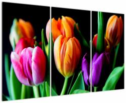 Mivali Tablou -Lalele pe fond negru, din trei bucăți 120x80 cm (V022664V120803PCS)