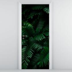 Mivali Fototapet pentru ușă - Ferigi tropicale (D022138D95205)