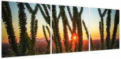 Mivali Tablou - Plante, din trei bucăți 120x40 cm (V023847V12040)