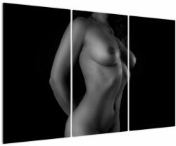 Mivali Tablou - Nud feminin alb - negru, din trei bucăți 120x80 cm (V022891V120803PCS)