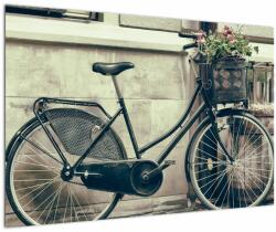 Mivali Tablou - Bicicleta de epocă cu flori, dintr-o bucată 90x60 cm (V023413V9060)
