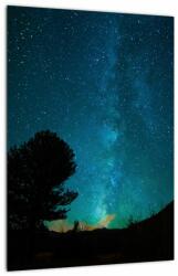 Mivali Tablou cu cerul nocturn și stele, dintr-o bucată 30x40 cm (V021100V3040)
