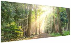 Mivali Tablou - Poteci în pădure, dintr-o bucată 250x125 cm (V022694V250125)
