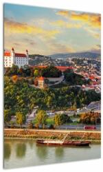 Mivali Tablou - Panorama bratislavei, Slovacia, dintr-o bucată 50x70 cm (V023405V5070)