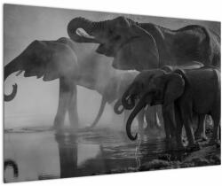 Mivali Tablou cu elefanți - albnegru, dintr-o bucată 90x60 cm (V021575V9060)