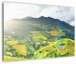 Mivali Tablou plantație, dintr-o bucată 90x60 cm (V020635V9060)