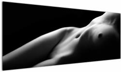 Mivali Tablou - Nud feminin, alb - negru, dintr-o bucată 145x58 cm (V023378V14558)