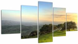 Mivali Tablou - Privire de pe deal, din cinci bucăți 150x80 cm (V022576V150805PCS)