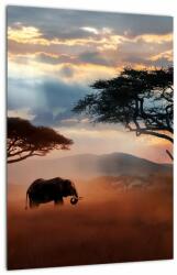 Mivali Tablou - Parcul Național Serengeti, Tanzania, Africa, dintr-o bucată 30x40 cm (V023034V3040)