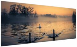 Mivali Tablou cu lebăde pe apă în ceață, dintr-o bucată 250x125 cm (V020989V250125)