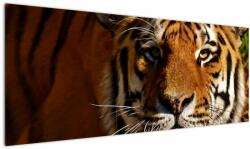 Mivali Tablou cu tigrul, dintr-o bucată 145x58 cm (V021272V14558)