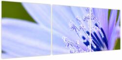 Mivali Tablou - Floare, din trei bucăți 120x40 cm (V023724V12040)