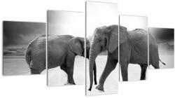 Mivali Tablou cu elefanți, din cinci bucăți 150x80 cm (V020900V150805PCS)