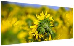 Mivali Tablou cu floarea soarelui, dintr-o bucată 200x100 cm (V020247V200100)