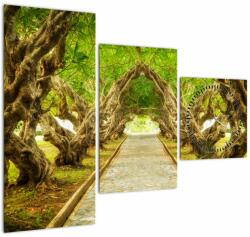 Mivali Tablou - Tunel viu din plumeria (cu ceas), din trei bucăți 90x70 cm cu ceas (V023164V9070C)