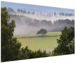 Mivali Tablou - Lunca cu copac, dintr-o bucată 150x100 cm (V022721V150100)
