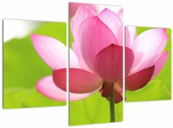 Mivali Tablou cu flori de lotus, din trei bucăți 90x60 cm (V021697V90603PCS)