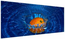 Mivali Tablou - portacala în apă, dintr-o bucată 250x125 cm (V020369V250125)