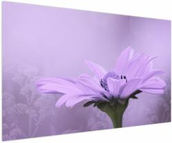 Mivali Tablou - Flori mov, dintr-o bucată 150x100 cm (V023935V150100)