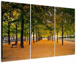 Mivali Tablou cu alee cu copaci în toamnă, din trei bucăți 120x80 cm (V020953V120803PCS)