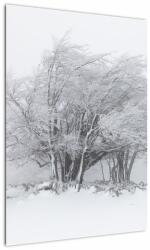 Mivali Tablou - Iarnă albă, dintr-o bucată 50x70 cm (V022824V5070)