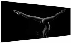 Mivali Tablou - Gimnasta nud în întuneric, dintr-o bucată 250x125 cm (V023080V250125)
