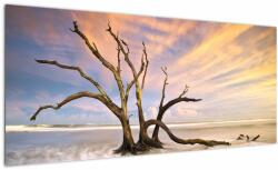 Mivali Tablou - Copacul în ocean, dintr-o bucată 100x40 cm (V023279V10040)