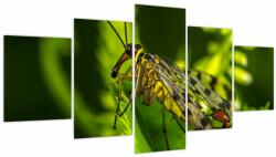 Mivali Tablou cu omide (cu ceas), din cinci bucăți 150x80 cm cu ceas (V020326V15080C)
