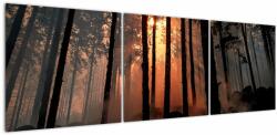 Mivali Tablou cu pădure întunecată, din trei bucăți 150x50 cm (V020379V15050)
