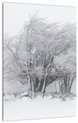Mivali Tablou - Iarnă albă, dintr-o bucată 30x40 cm (V022824V3040)