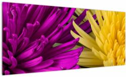 Mivali Tablou - detailu cu flori, dintr-o bucată 100x40 cm (V020201V10040)
