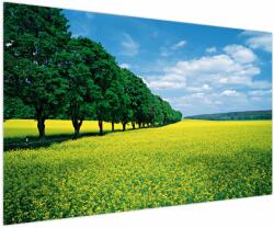 Mivali Tablou - Câmp cu alei, dintr-o bucată 150x100 cm (V023225V150100)