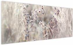 Mivali Tablou - Plante, dintr-o bucată 250x125 cm (V023815V250125)