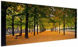 Mivali Tablou cu alee cu copaci în toamnă, dintr-o bucată 250x125 cm (V020953V250125)